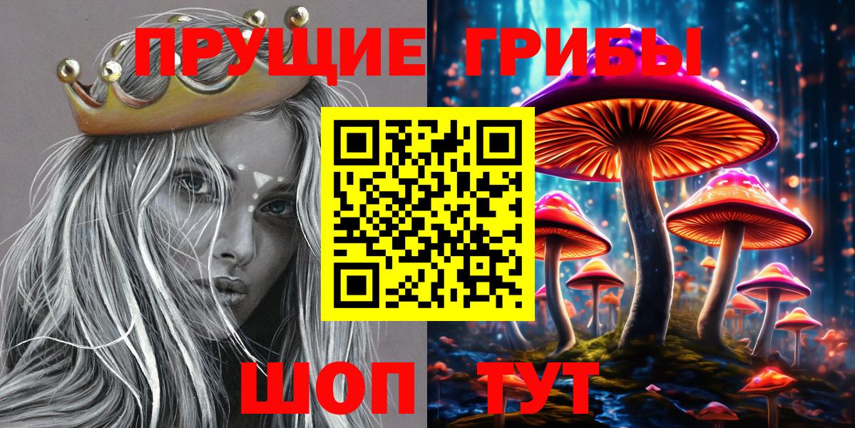 Балахна  цены   Вход с VPN  Псилоцибиновые грибы Psilocybe  Псилоцибиновые грибы мицелий 