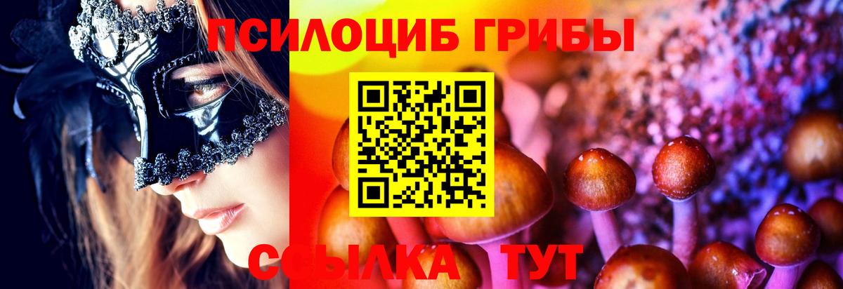 Галлюциногенные грибы Cubensis Балахна